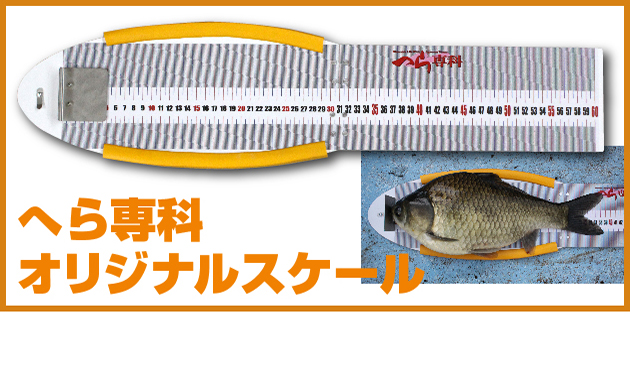 定期購読